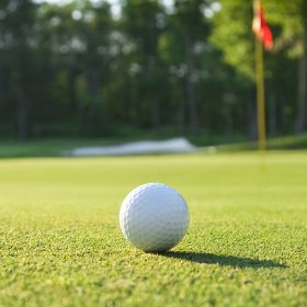 golf ball resting on the grass on a golf course