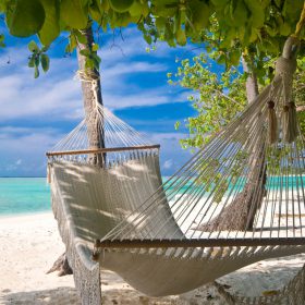 Beach Hammock